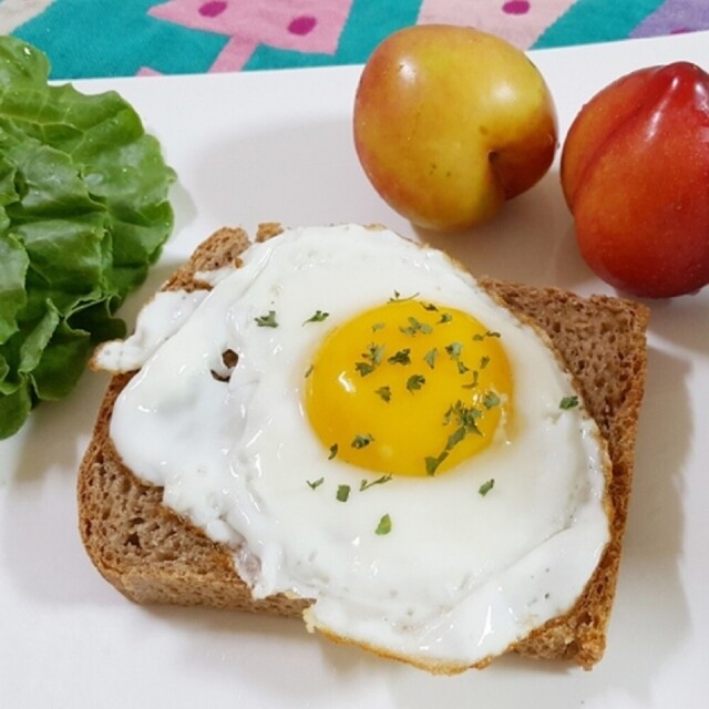 강원더몰,장발장 NO충전물 플레인 100% 통밀식빵 1kg